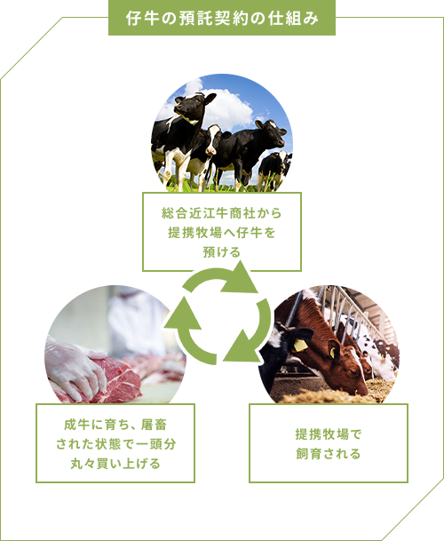 仔牛の預託契約の仕組み