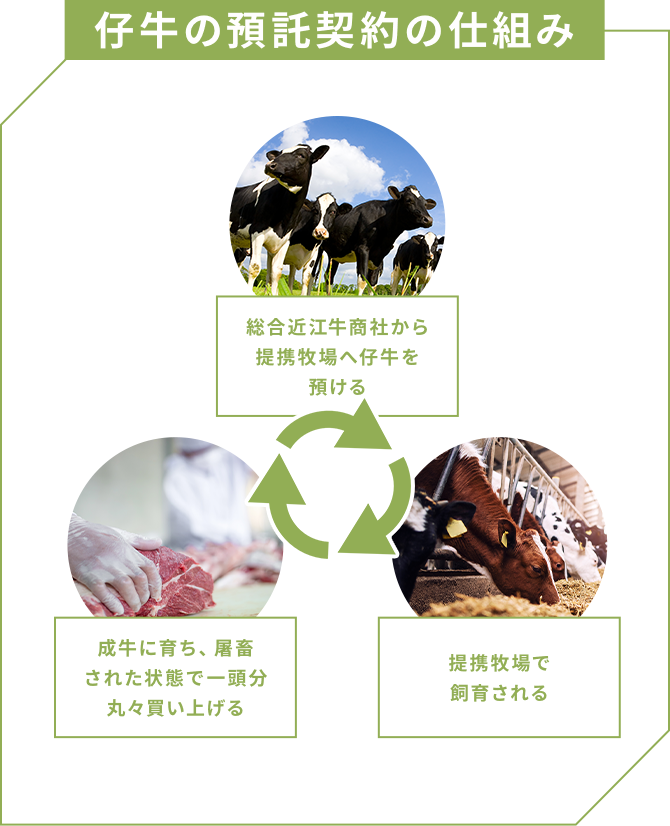 仔牛の預託契約の仕組み